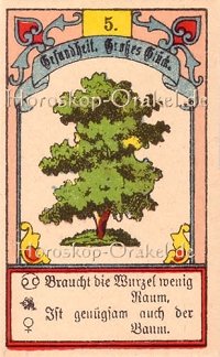 Der Baum im Widder Monatshoroskop an diesem Tag