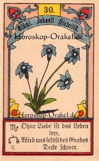 Die Lilien im Widder Monatshoroskop an diesem Tag