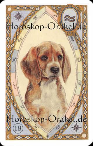 Der Hund, Widder Monatshoroskop