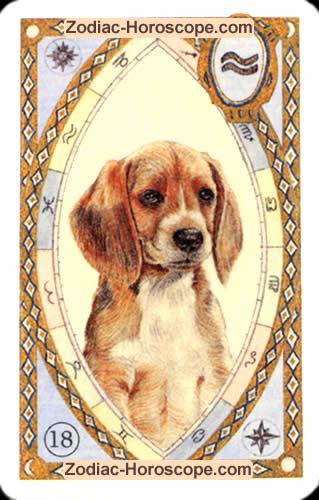 Der Hund, Ihr Tageshoroskop Liebe für heute