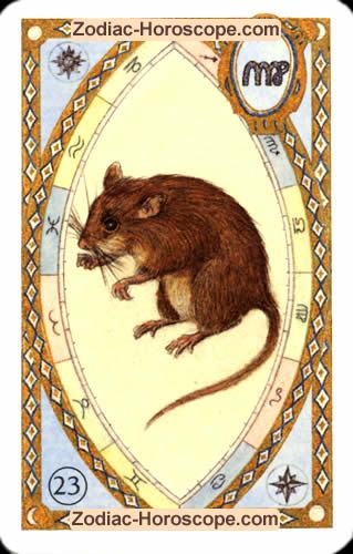 Astrologische Lenormandkarten die Mäuse