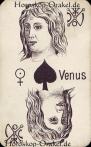 Die Venus Pik, astrologische Medium Karten Horoskop