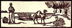 Lenormandkarten Bedeutung der Mond