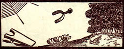 Widder Tageskarte morgen
